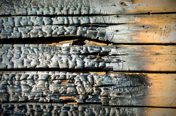 Imagem da série natureza — Fotografia de Stock