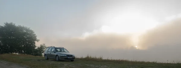 Зображення з серії природи — стокове фото