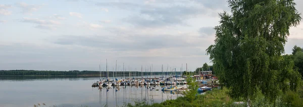 Bild från naturen-serien — Stockfoto