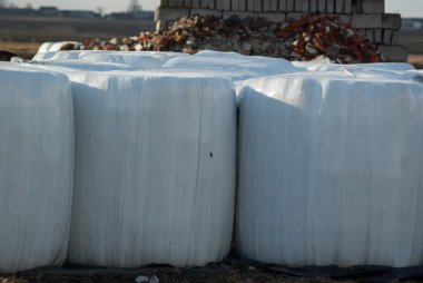 görüntü doğa serisi