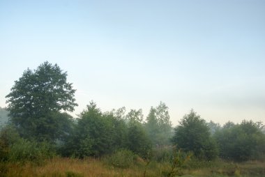 görüntü doğa serisi