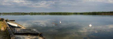 görüntü doğa serisi