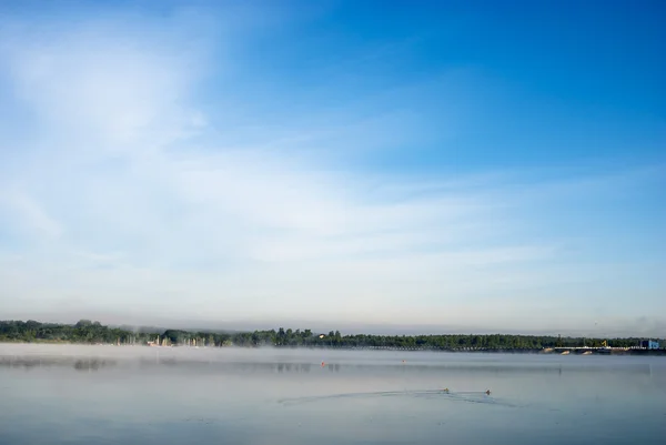 Immagine dalla serie natura — Foto Stock