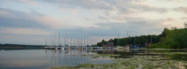 Bild från naturen-serien — Stockfoto