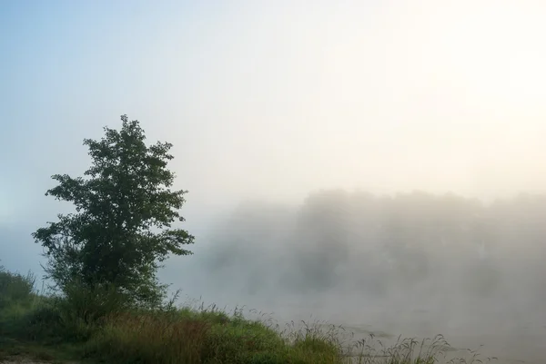 Bild aus der Natur-Serie — Stockfoto