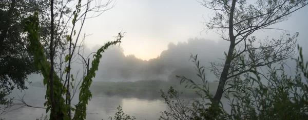 görüntü doğa serisi