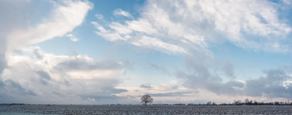 Immagine dalla serie natura — Foto Stock