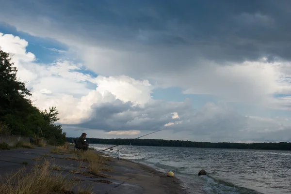 Obraz z serii natura — Zdjęcie stockowe