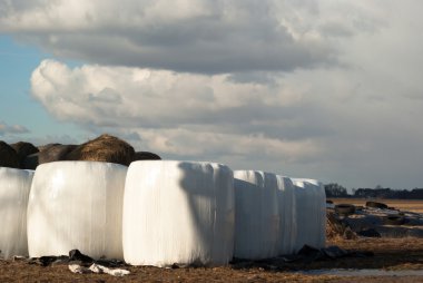 görüntü doğa serisi