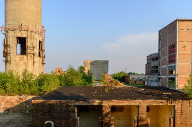 görüntü endüstriyel serisi