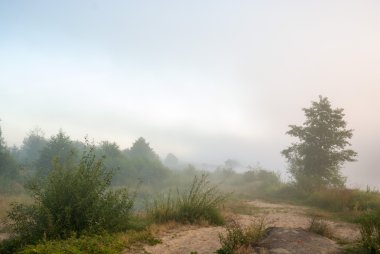 görüntü doğa serisi