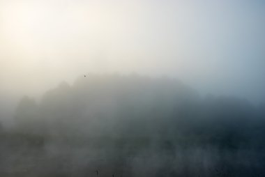 görüntü doğa serisi