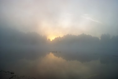 görüntü doğa serisi