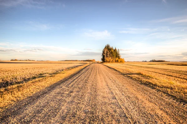 Image from nature series — Stock Photo, Image