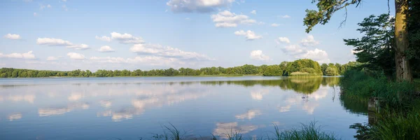 Imagen de la serie naturaleza — Foto de Stock