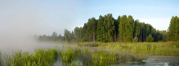 Immagine dalla serie natura — Foto Stock