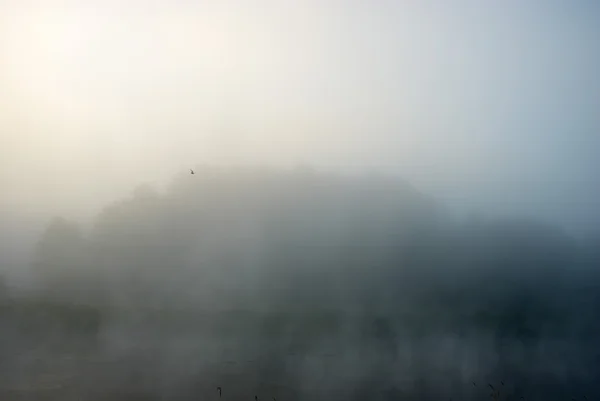 Imagem da série natureza — Fotografia de Stock