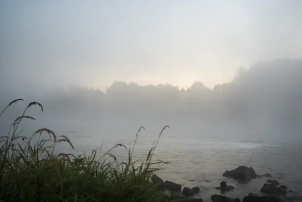 Imagem da série natureza — Fotografia de Stock