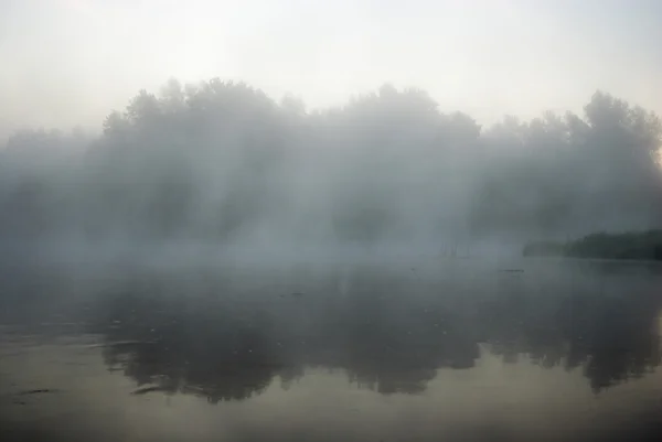 Imagem da série natureza — Fotografia de Stock