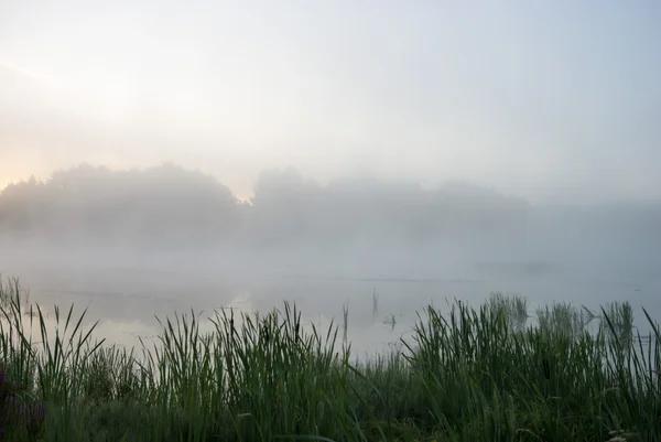 Imagen de la serie naturaleza — Foto de Stock