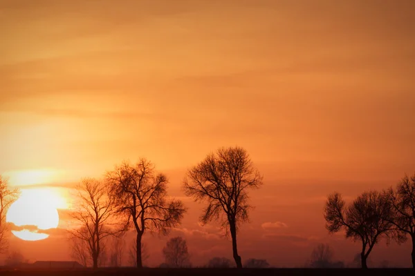 Bild från naturen-serien — Stockfoto