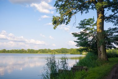 görüntü doğa serisi