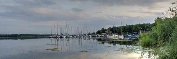 Obrázek ze série nature — Stock fotografie