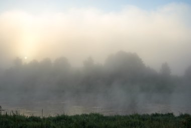 görüntü doğa serisi