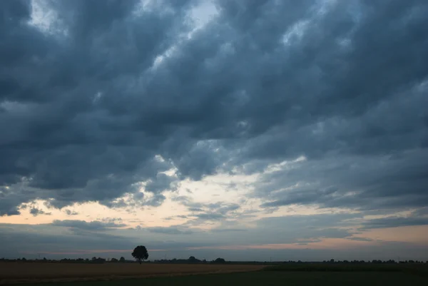 Obrázek ze série nature — Stock fotografie