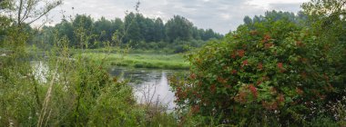 görüntü doğa serisi