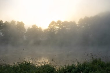görüntü doğa serisi