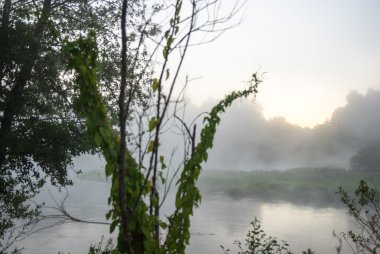 görüntü doğa serisi