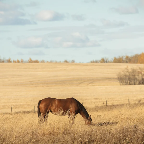 görüntü doğa serisi
