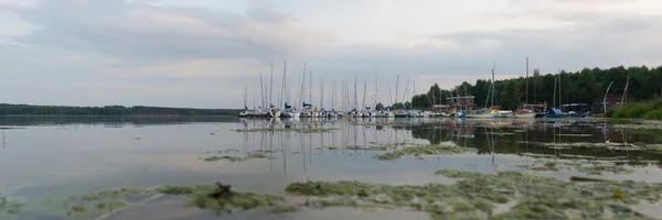 Obrázek ze série nature — Stock fotografie