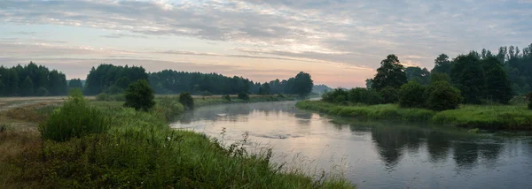 Beeld uit natuur-serie — Stockfoto