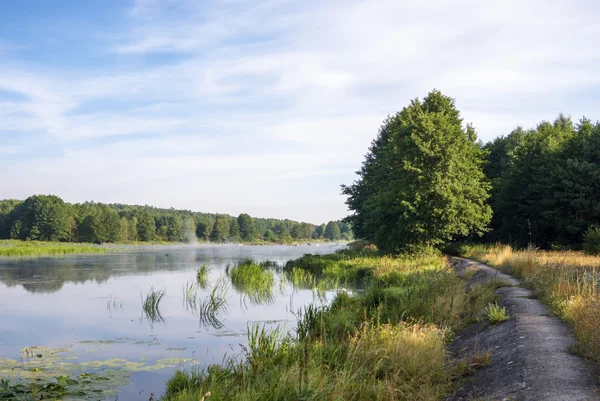 Beeld uit natuur-serie — Stockfoto