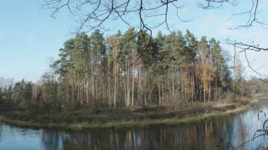 Ağaçlar ve yapraklarla dolu sonbahar manzarasını eski doğal ormanlarda hareket ettiren doğa serisidir.