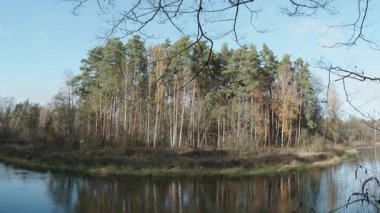 Ağaçlar ve yapraklarla dolu sonbahar manzarasını eski doğal ormanlarda hareket ettiren doğa serisidir.