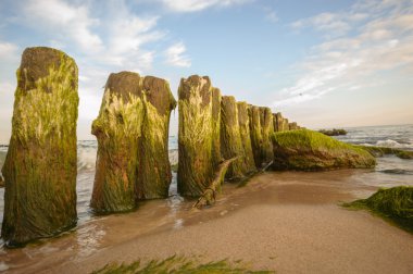 görüntü doğa serisi