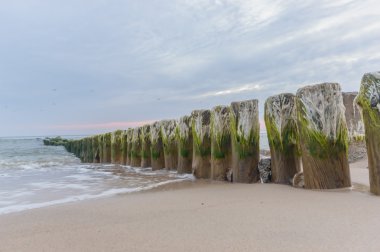 görüntü doğa serisi