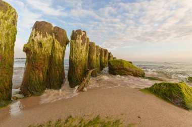 görüntü doğa serisi