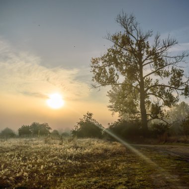 görüntü doğa serisi