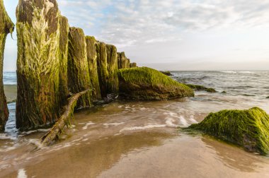 görüntü doğa serisi