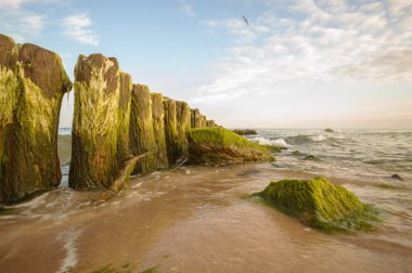 görüntü doğa serisi