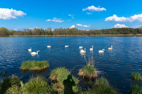 Obrázek ze série nature — Stock fotografie