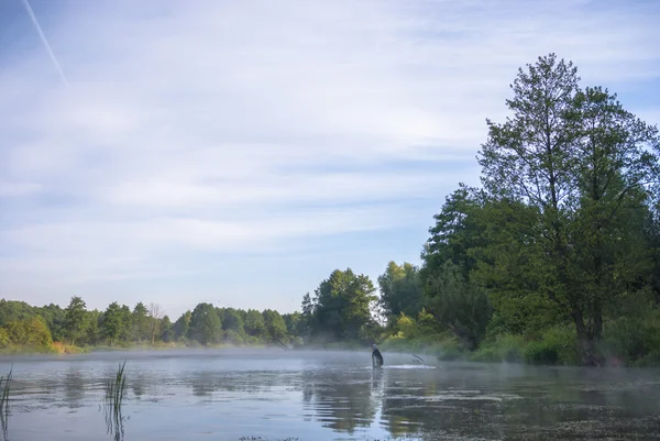 Obrázek ze série nature — Stock fotografie