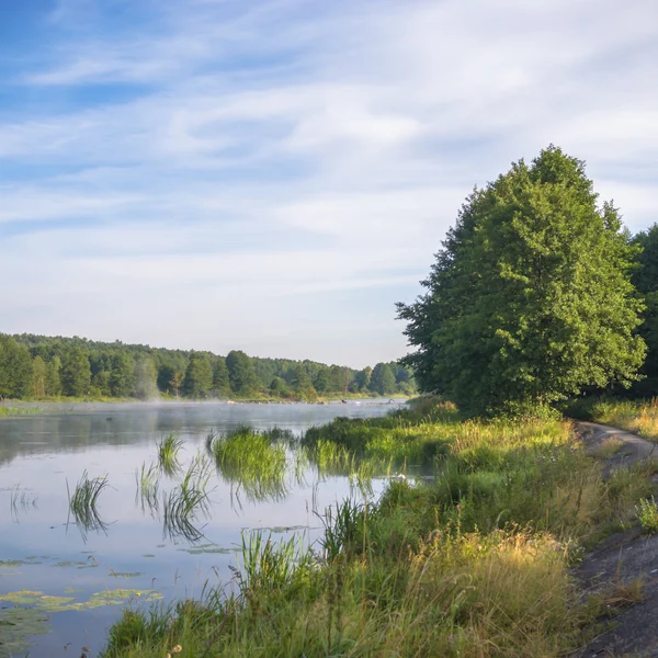 Obrázek ze série nature — Stock fotografie