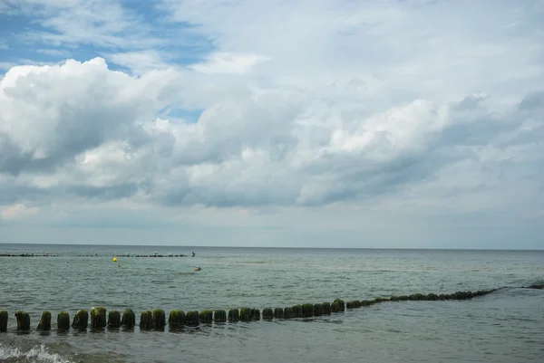 Obrázek ze série nature — Stock fotografie