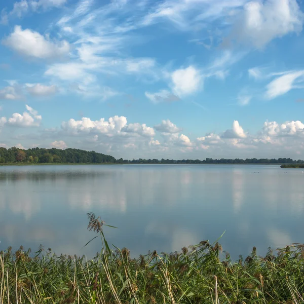 Obraz z serii natura — Zdjęcie stockowe