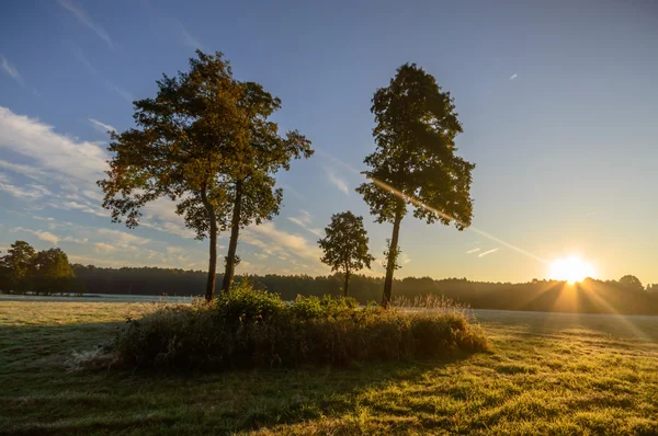 Bild från naturen-serien — Stockfoto